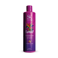 Après-shampoing Carnival 500 ml